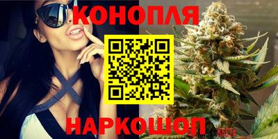 Альфа ПВП Нарткала