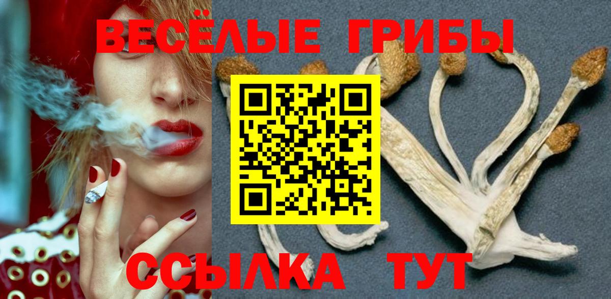 Псилоцибиновые грибы GOLDEN TEACHER Янаул